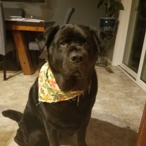 Meet your Posher, Colleen